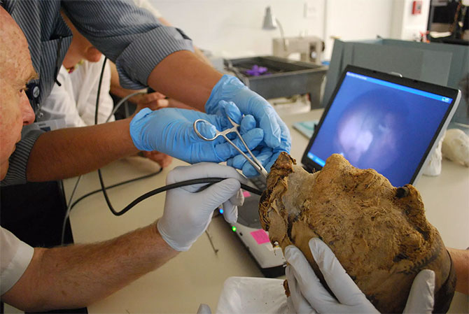 Como o FBI desvendou o mistério de uma cabeça mumificada há 4 mil anos - 2