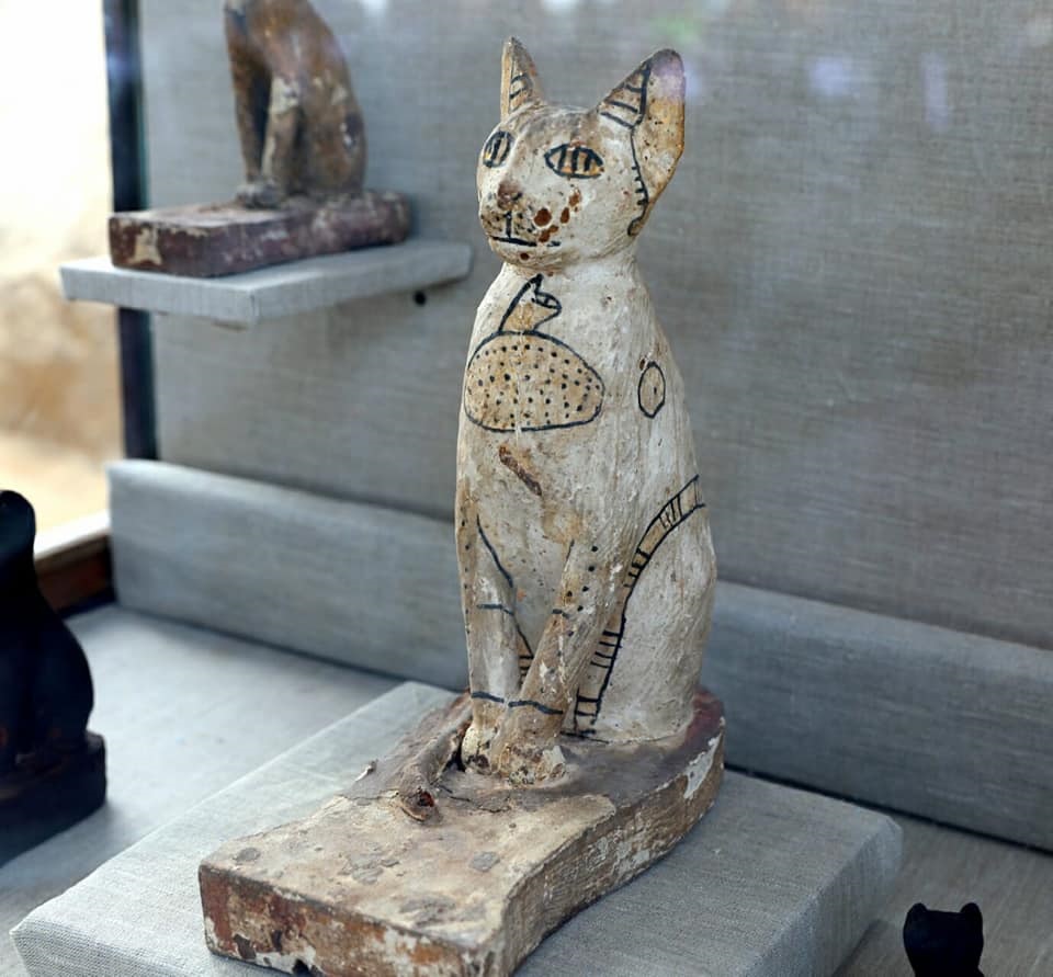 Dezenas de múmias de gatos encontradas no Egito - 1